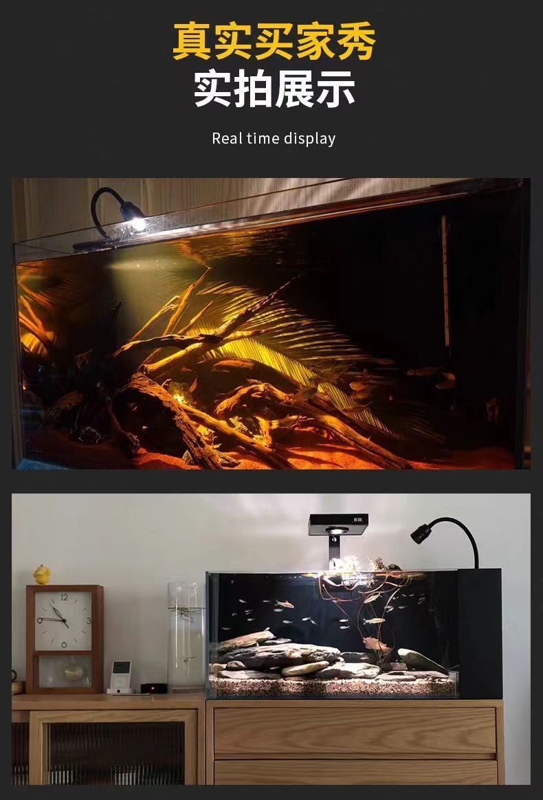 00630c38-f6af-41e5-b420-bf28e3da4471.jpe