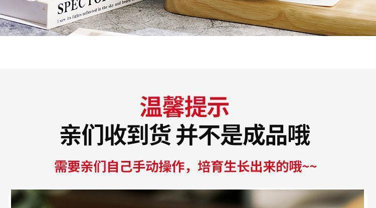 b569fce5-4eed-455f-a6d5-354995a83b44.jpe