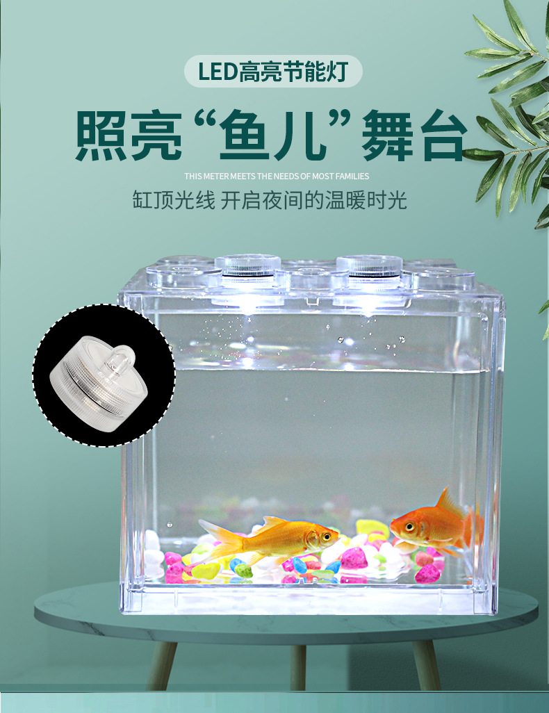 高透积木鱼盒_07.jpg