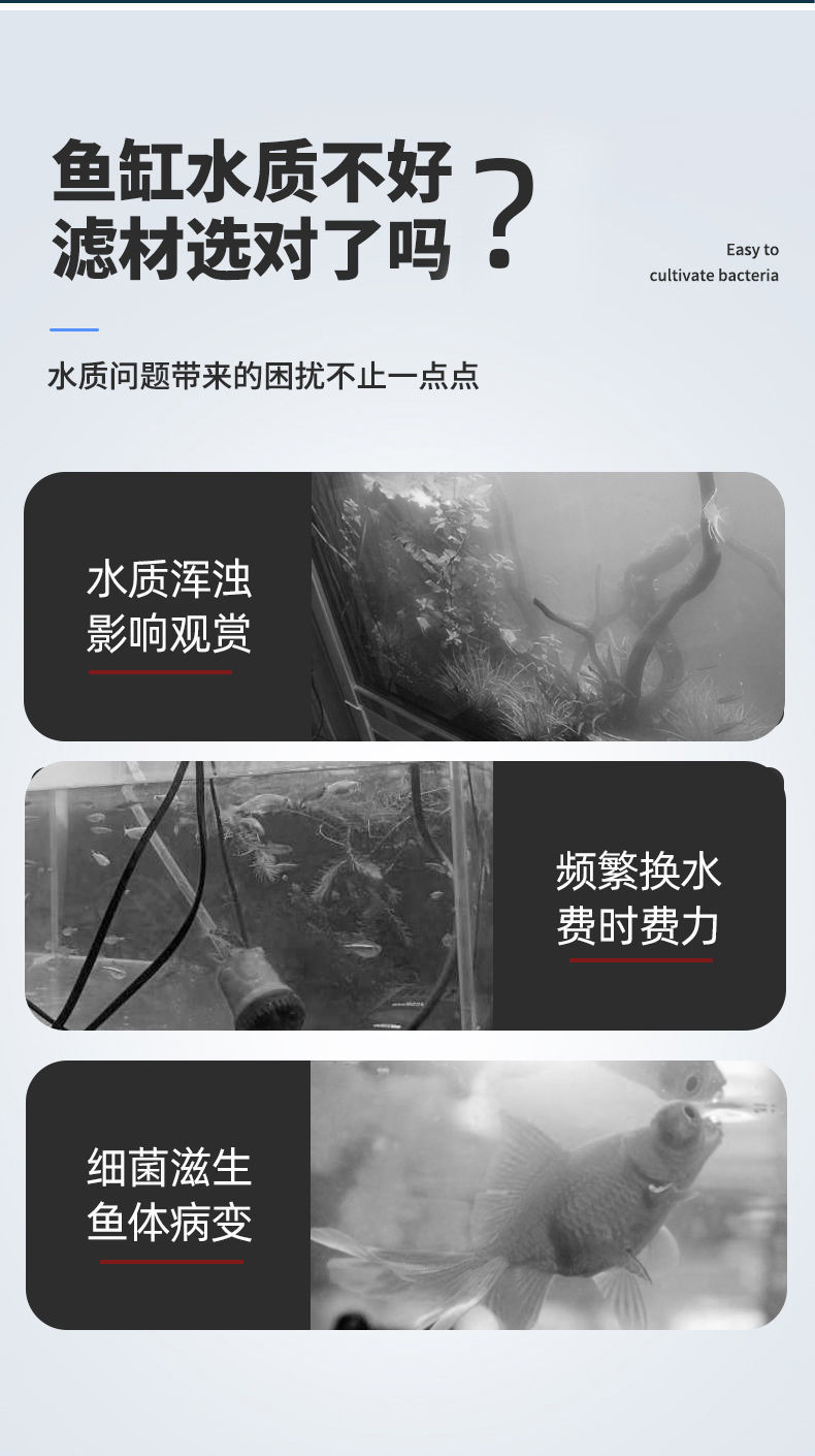 6a459164-ee88-4892-a472-4db596bcfc4f.jpe