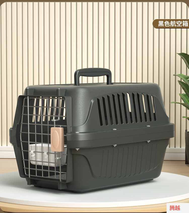 6b7d313b-3c1b-4779-ba5d-8ac0a68bfece.jpe