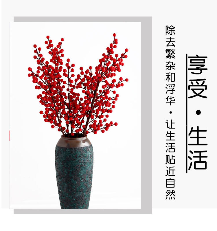 发财果红果_08.jpg