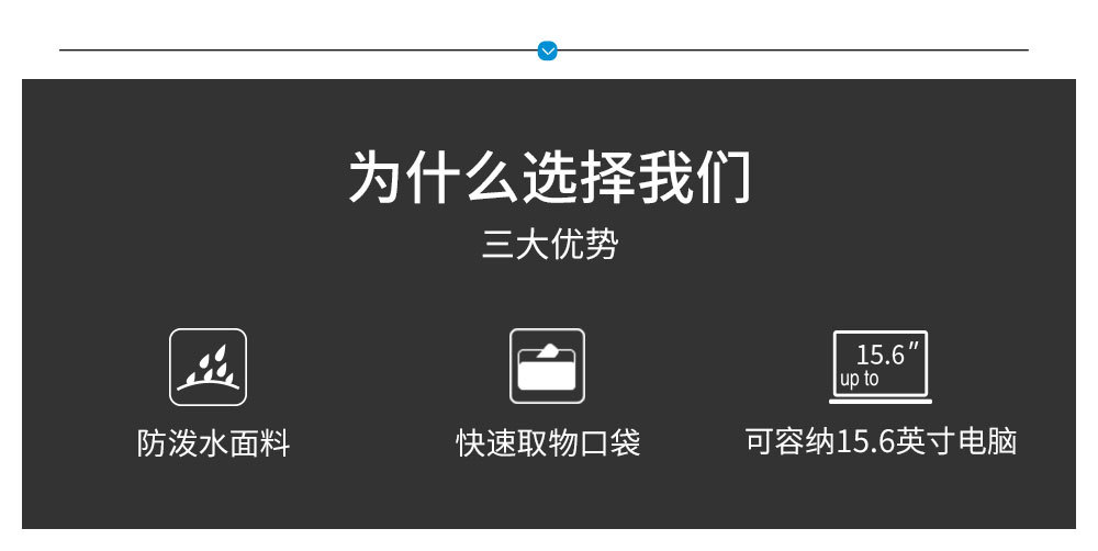 9951中文详情_02