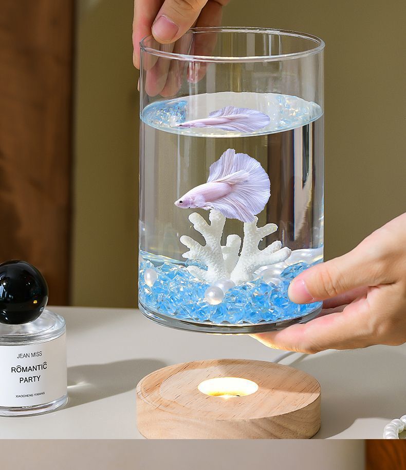 f9e0578e-03d0-45e2-8e87-62ab20ea7d81.jpe