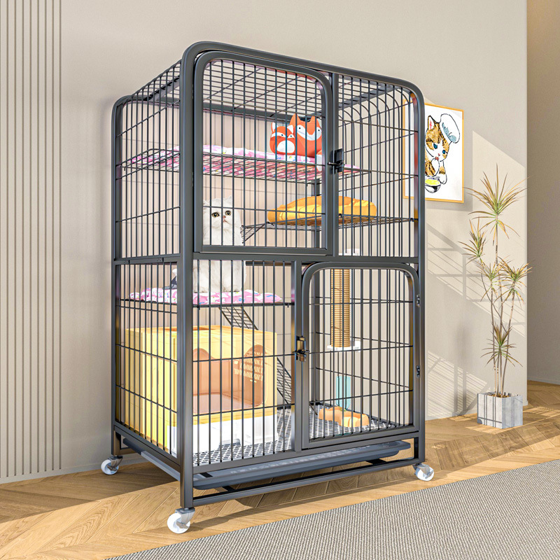 2550ca69-04e2-494c-8860-f147df97cc84.jpe