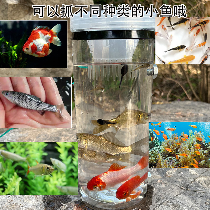 b4c941da-7e94-4ebd-abe9-e89cdfb9c19e.jpe