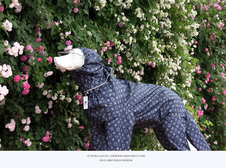 b43cb071-40c1-459e-a305-8ef553c607d1.jpe