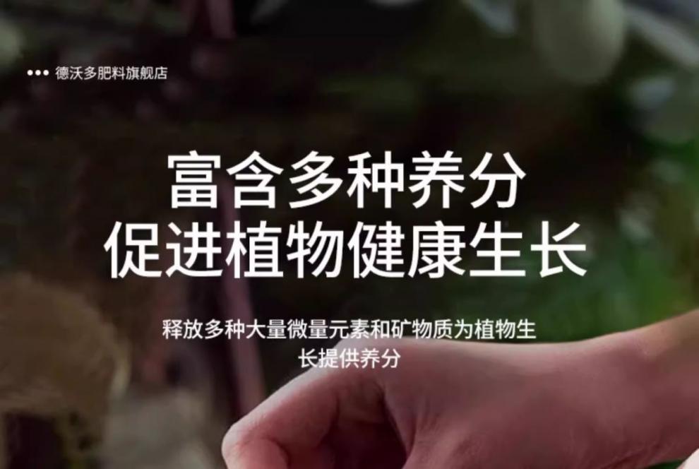 7d2d7386-d2c9-4961-89d5-9429e95d2542.jpe