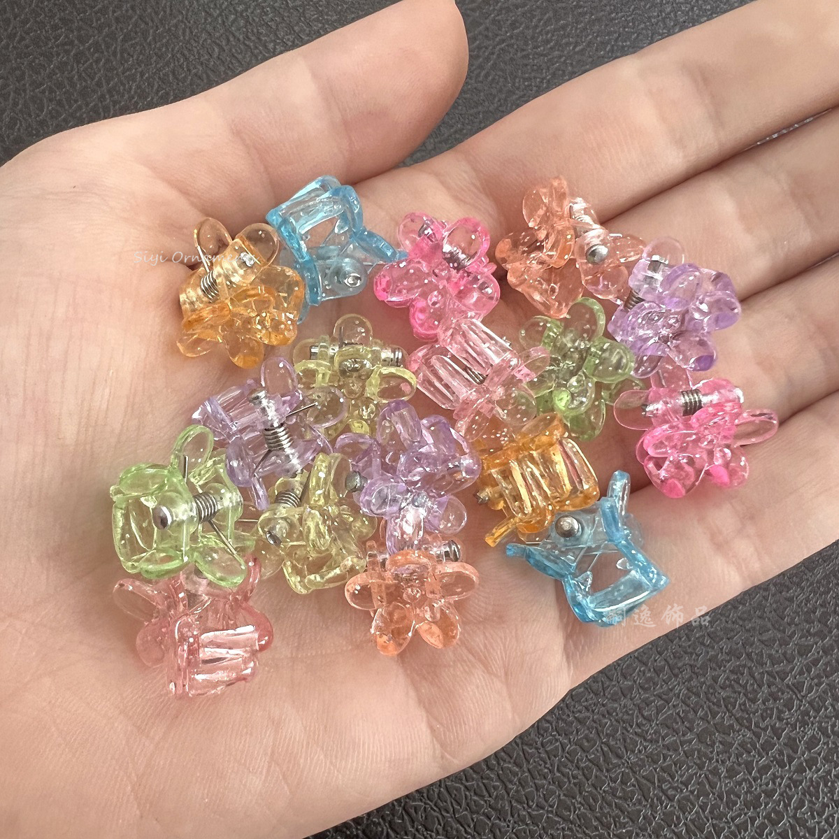 小梅花 (8)