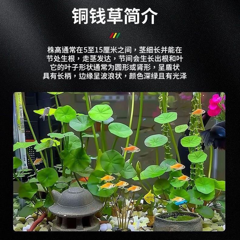 60749ef0-ac9a-4314-98ee-b39373e8519d.jpe