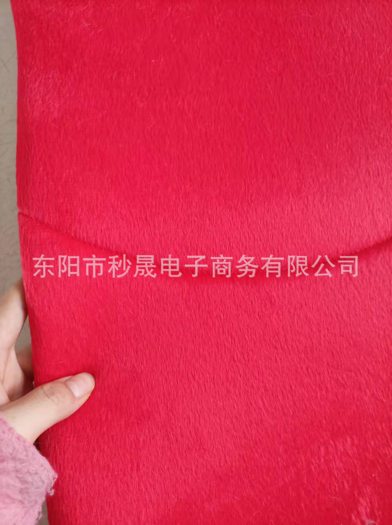 萝卜2.jpg