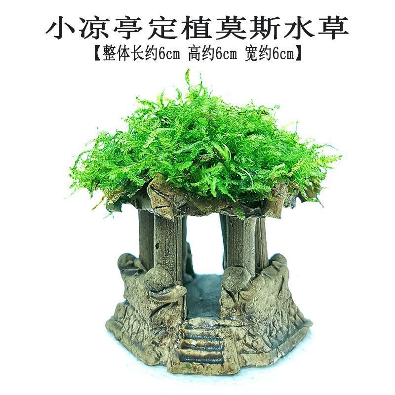 2b2dc57a-2799-45ab-9f0a-38ad69c12822.jpe