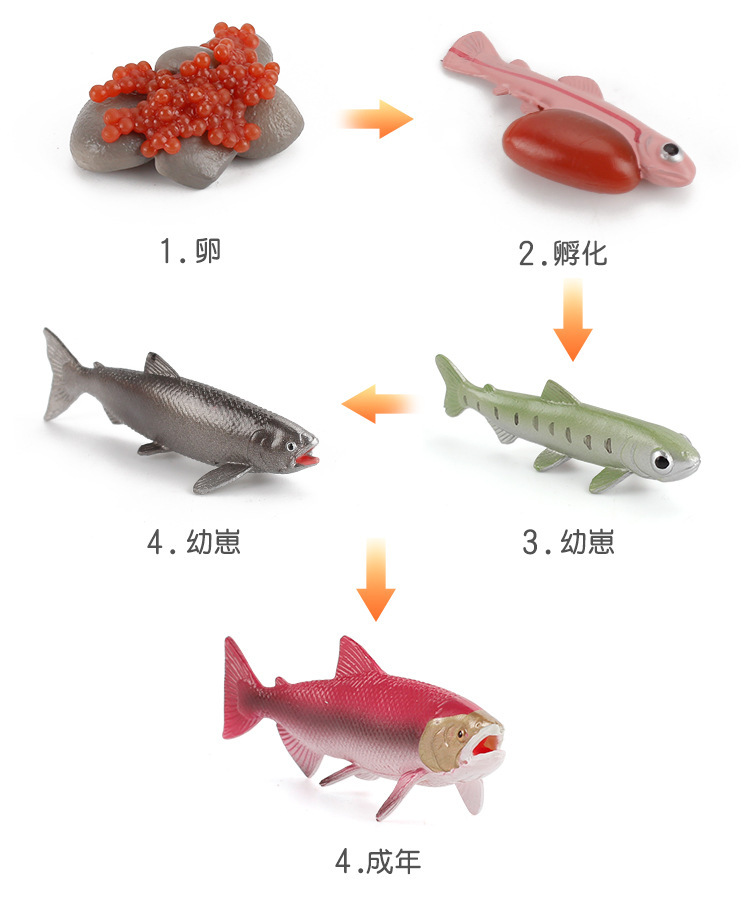 详情_06.jpg