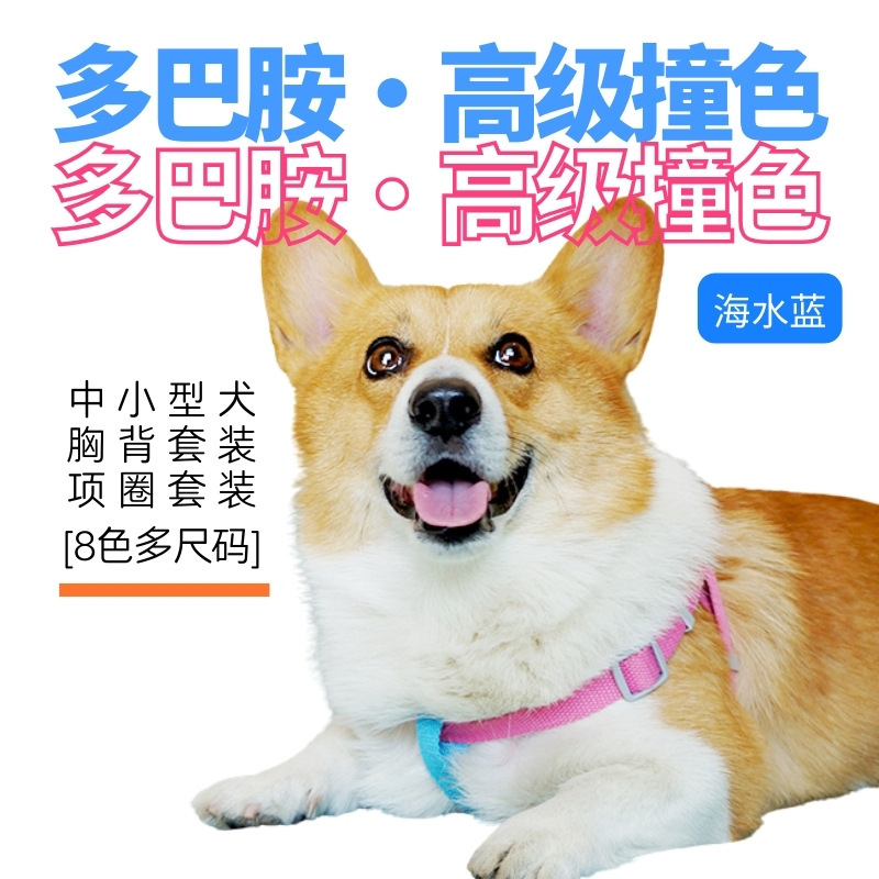 多巴胺撞色 (3).jpg