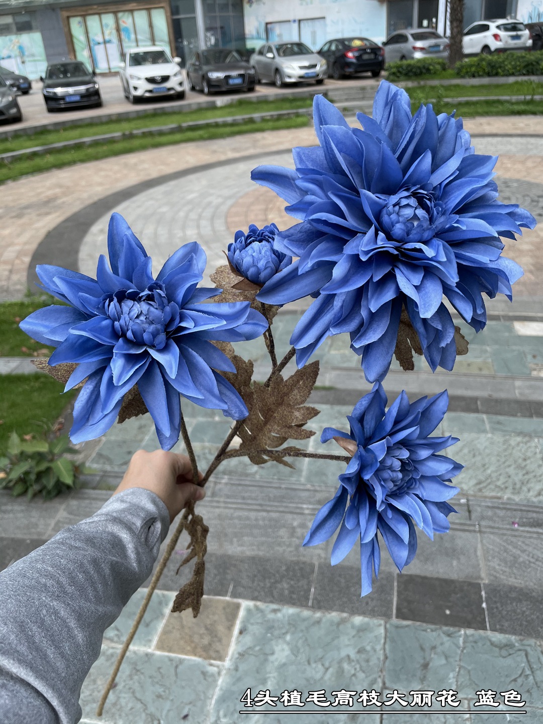 微信图片_20210519182308_副本_副本