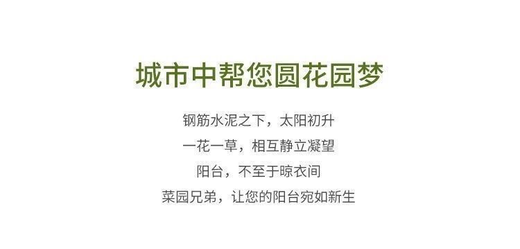 e1e0b765-fac1-4719-9e07-72c3a99ad929.jpe