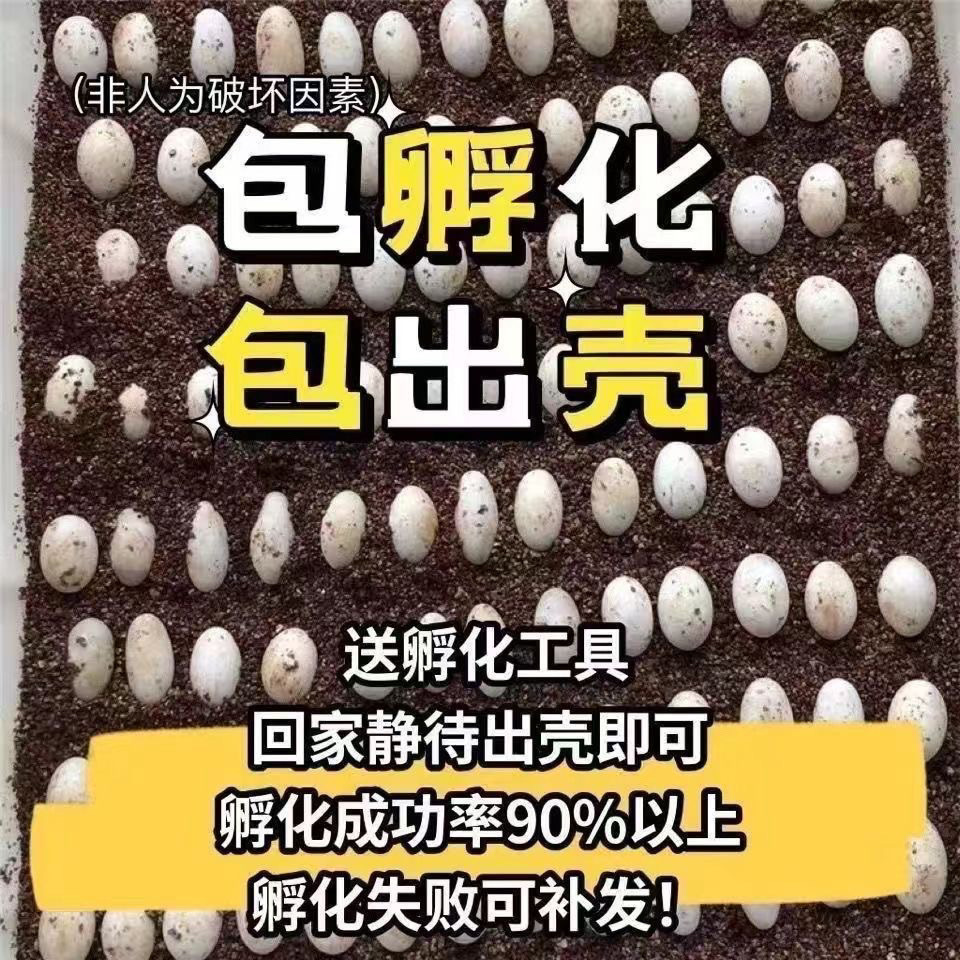 aceb3ac5-2bdf-49ea-b122-36c487fbc91d.jpe