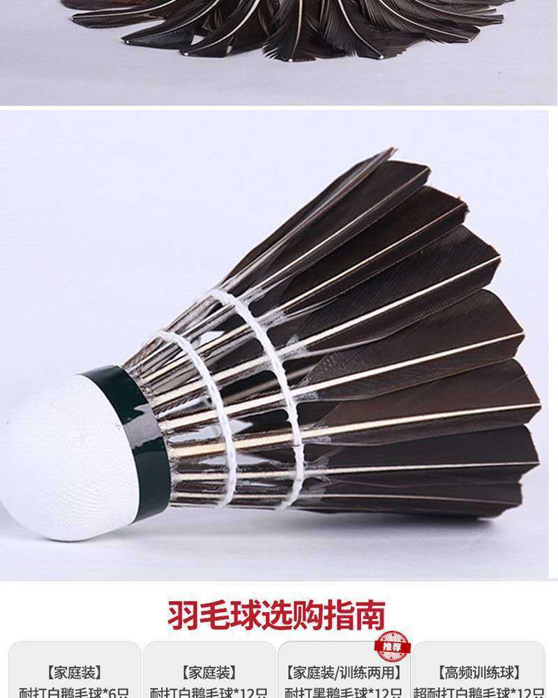 65dd4836-647b-4b62-8e54-acce9536e79d.jpg