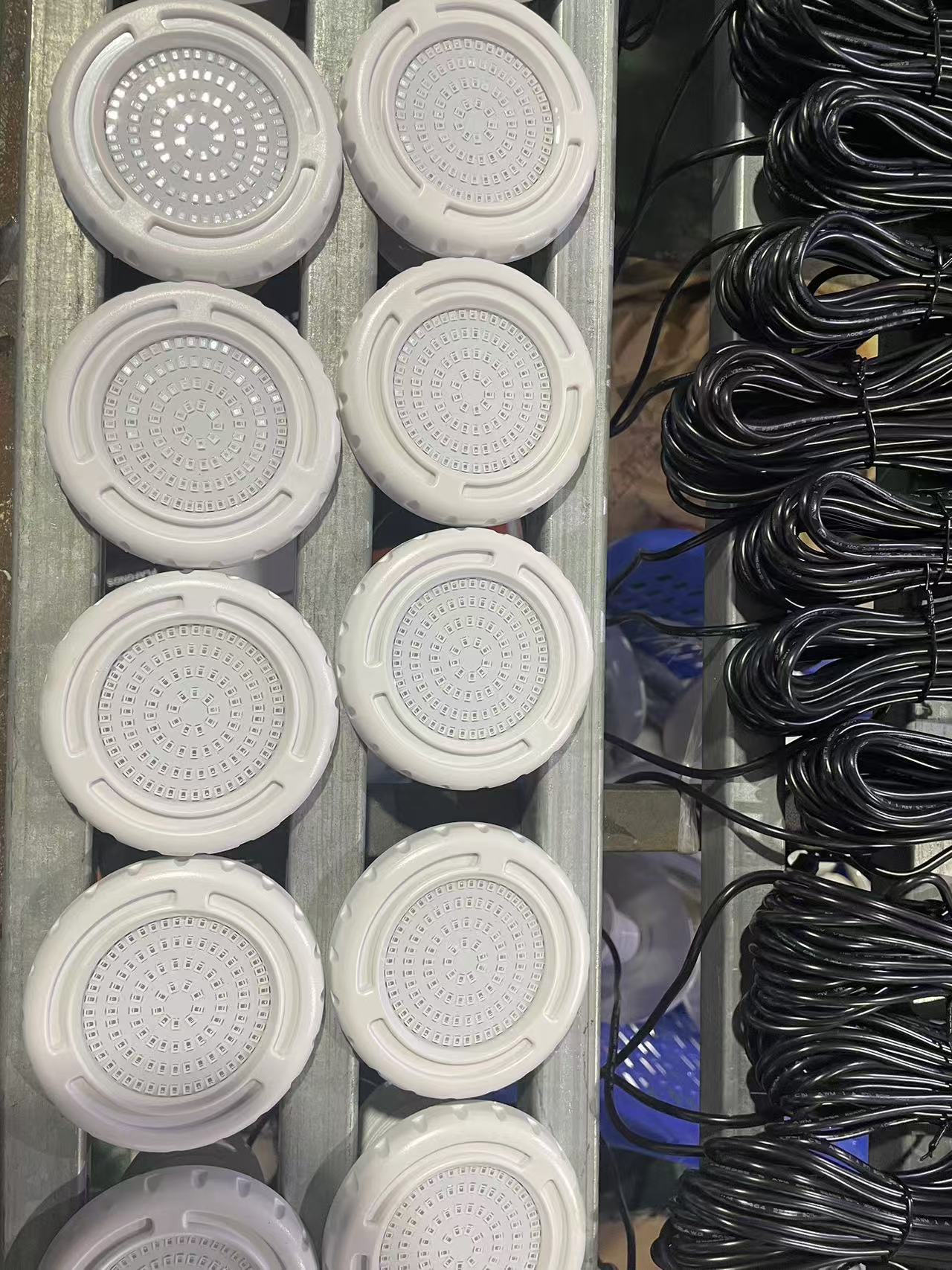 微信图片_20241127191915