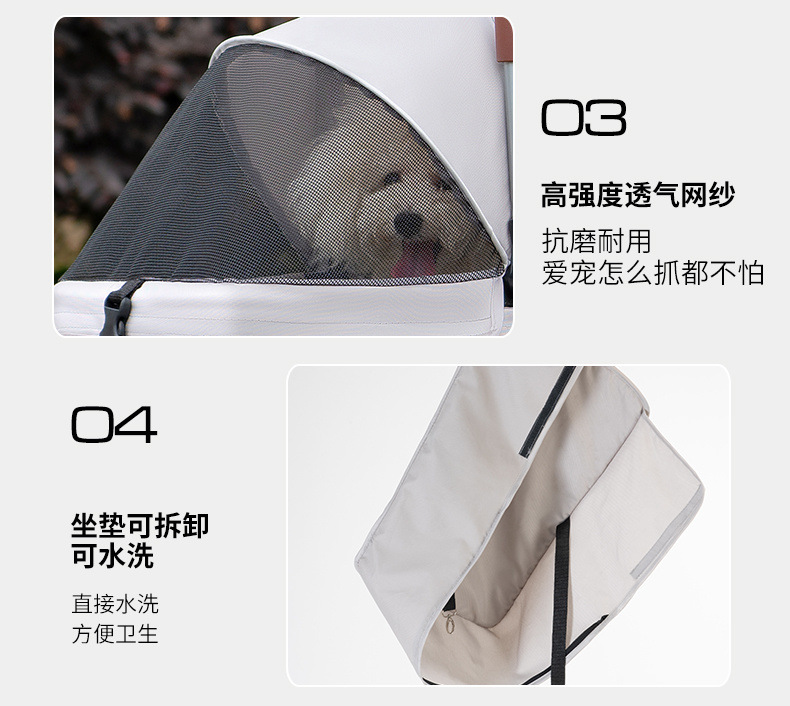 2a84cf45-1c6e-4703-a984-eeba43c9e54d.jpe