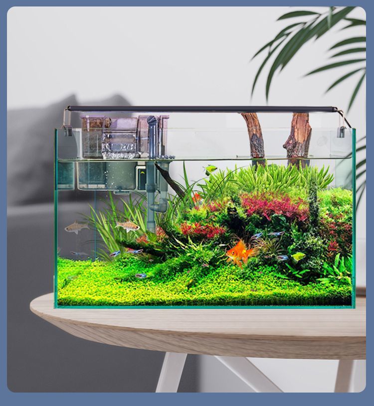 a11b4f41-ade1-4d54-8496-19fee6b58ee7.jpe