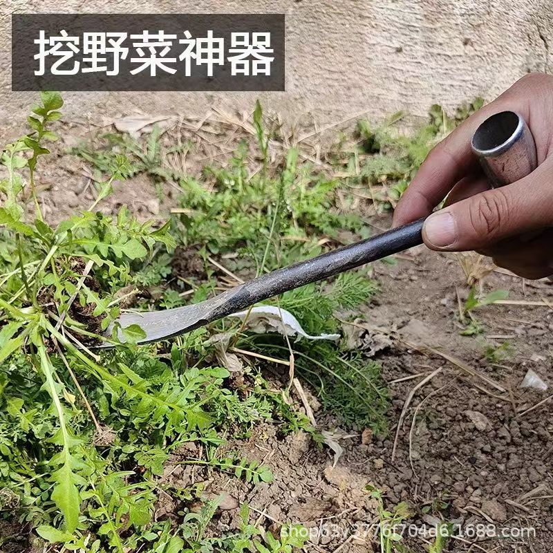微信图片_20250409104525.jpg