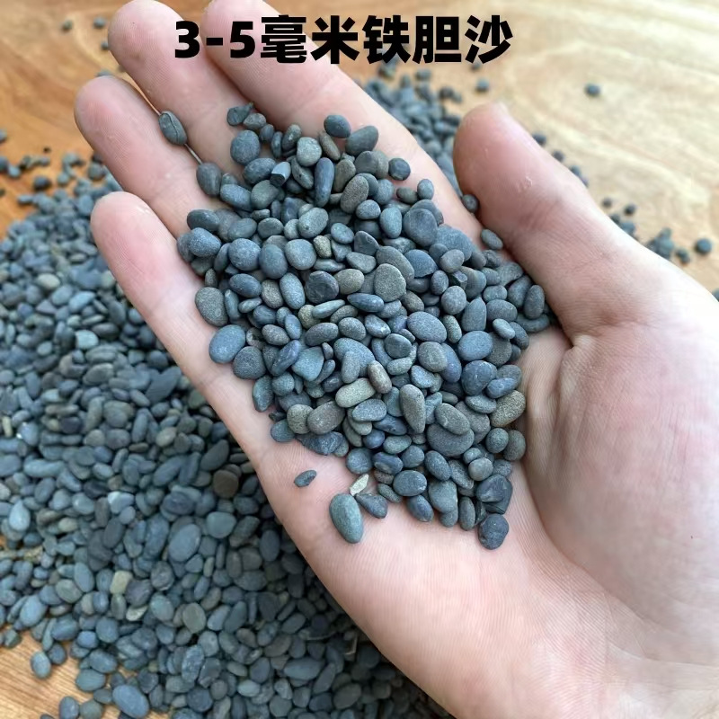 微信图片_20250218140022