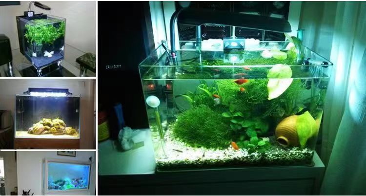 f53779c2-cf3f-4a67-b748-e1d0384af412.jpe