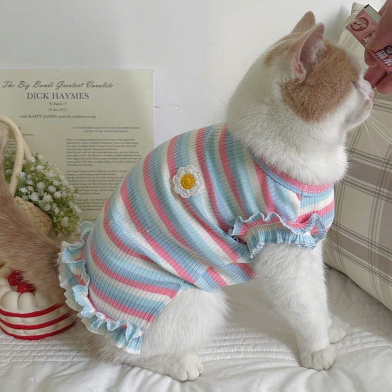 52856882-956d-4fe3-8206-19d0c8006db7.jpe