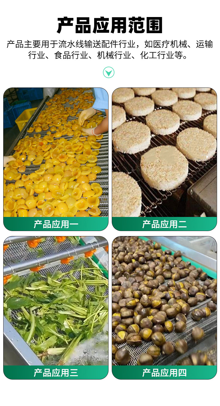 输送网带_06.jpg