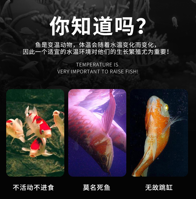 波动记录温度计_03.jpg