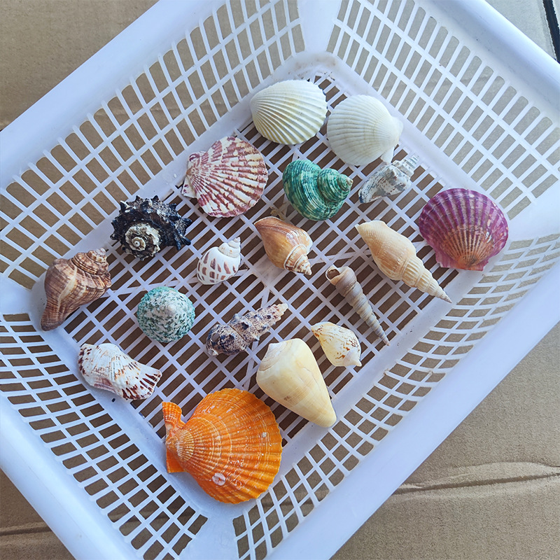 6个不重复主图1