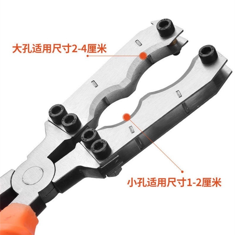 af433eab-dd3a-4a80-ab4c-23e83e84035b.jpe