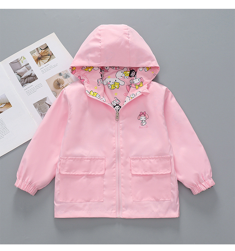 c99e2513-510f-45a2-a5bc-d21d2b66f291.jpe