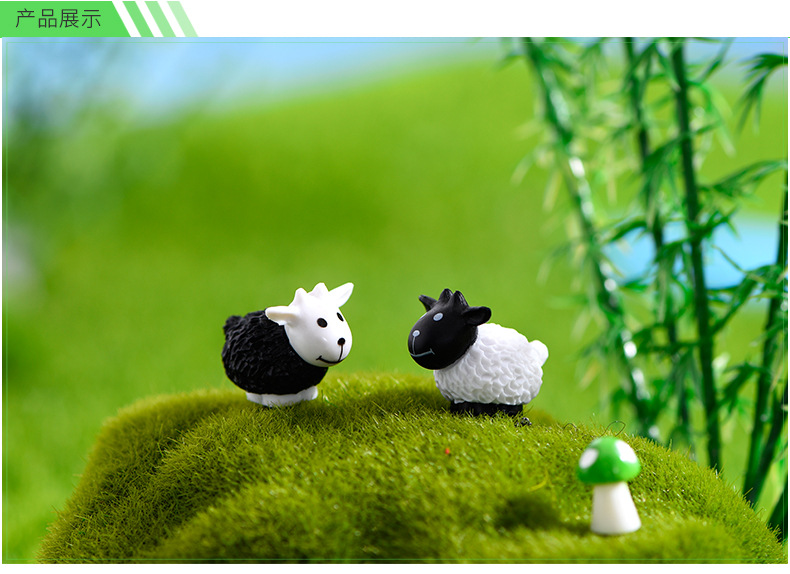 陈军店详情页模板_03