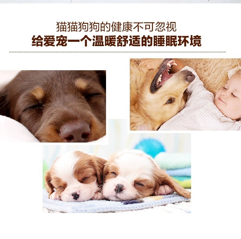 83a867f4-2ee0-487d-8c10-51ec733e3271.jpe