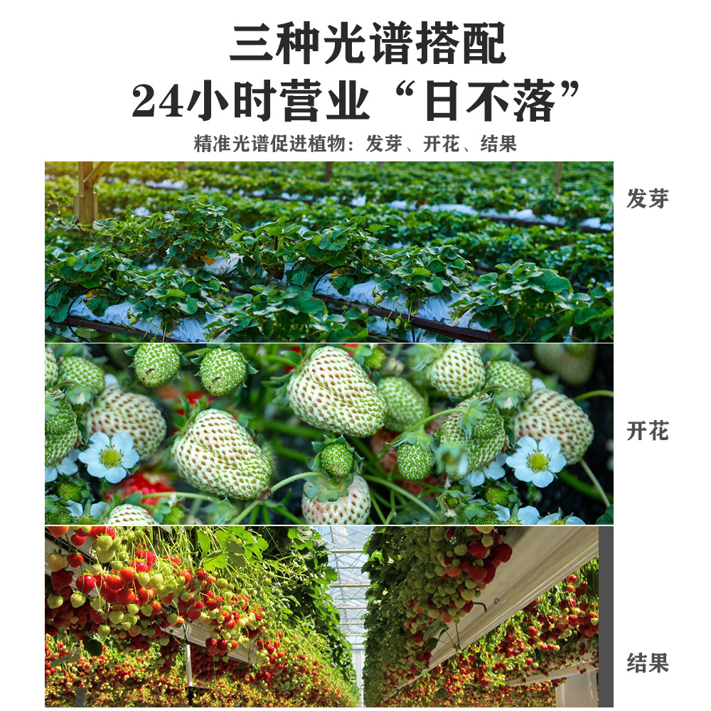 主图12.jpg