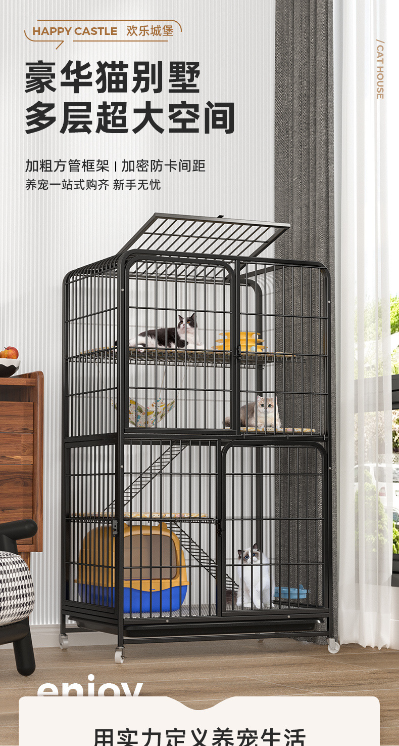 5546454a-8e1e-4026-be4c-3b30528f7cff.jpe