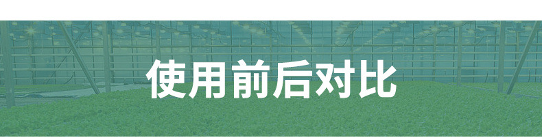 195c84b3-15cb-4209-8c6e-c75953ab04a3.jpe