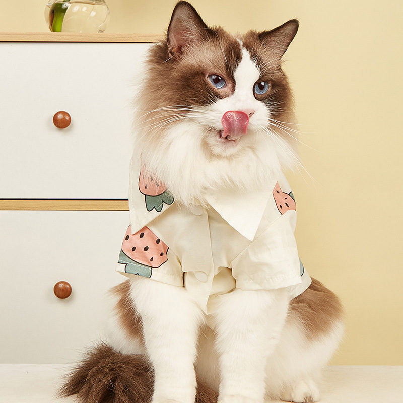 猫猫衣服