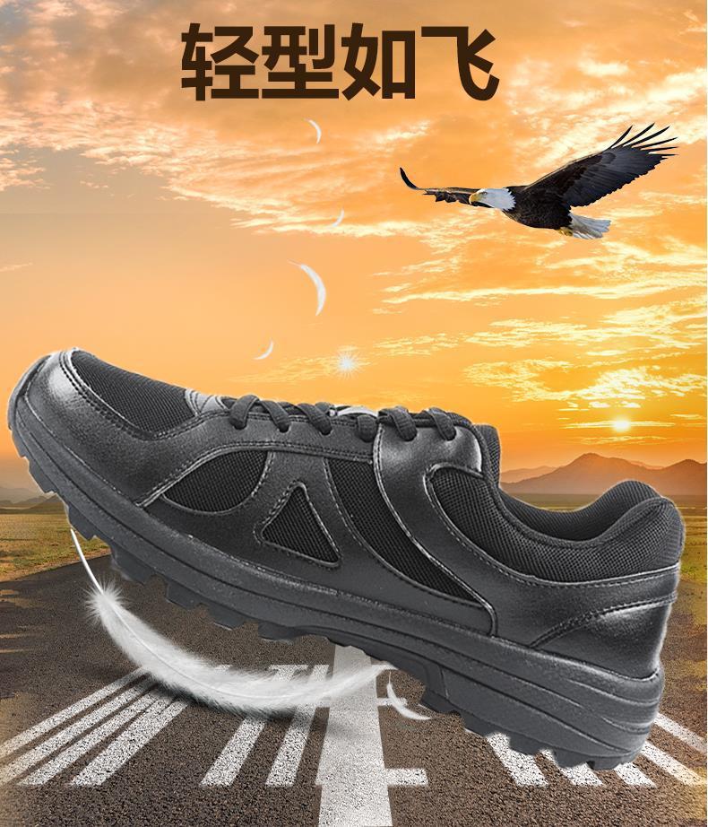 c31ccd517329852e4ff384b1bdd80523.png