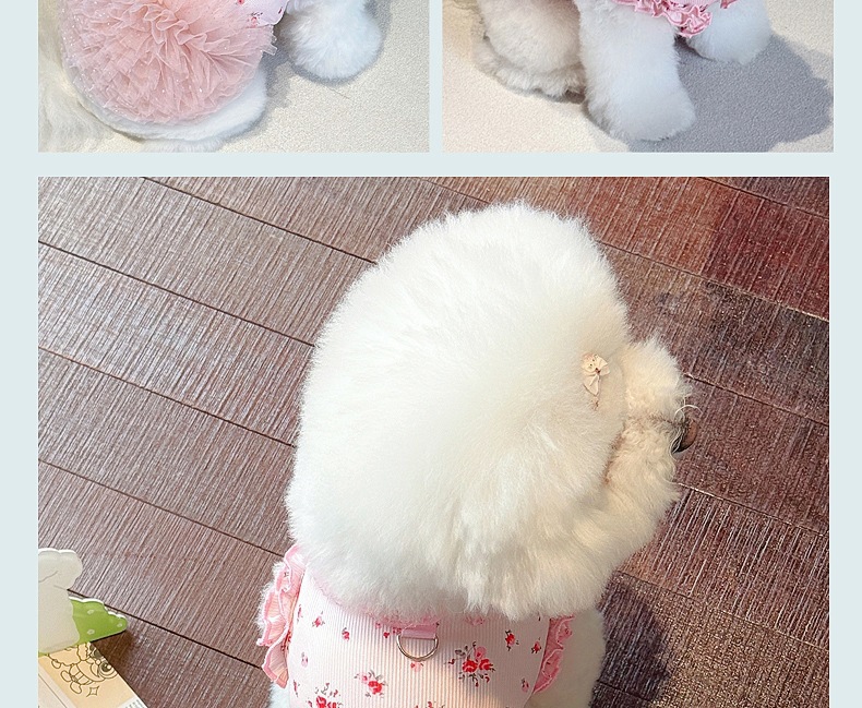 1010.jpg?x-oss-process=image/format,png