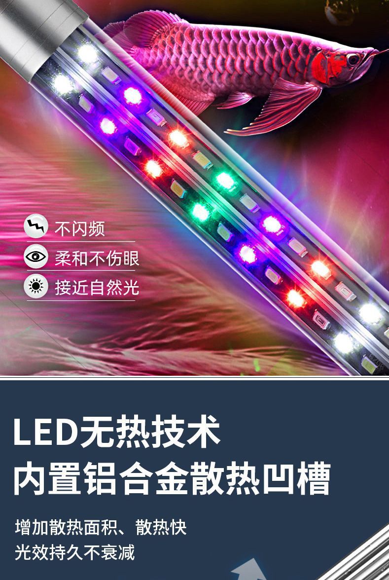 2b92a0f6-a936-4f5f-aa82-387d04e7daa0.jpe