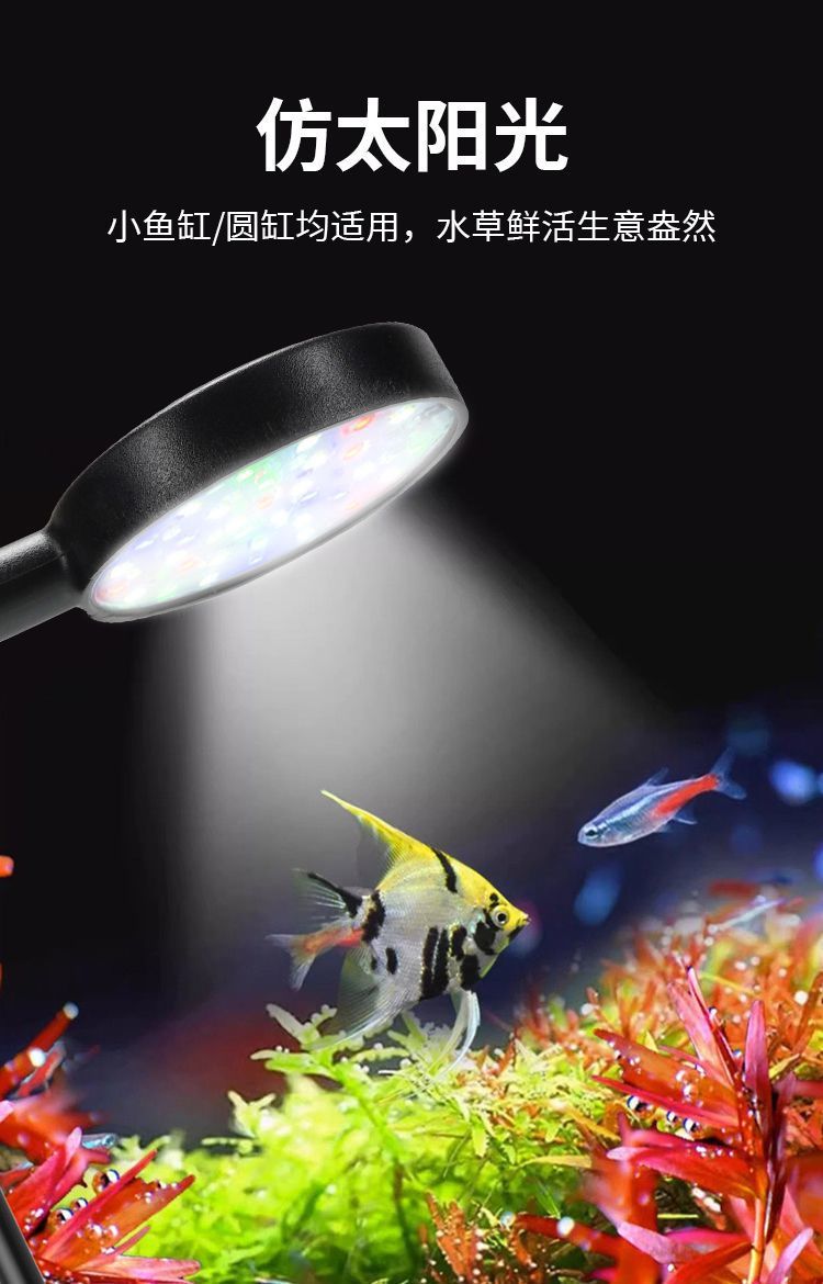 58bfa13f-cb08-43aa-9cc7-536e6a618172.jpe