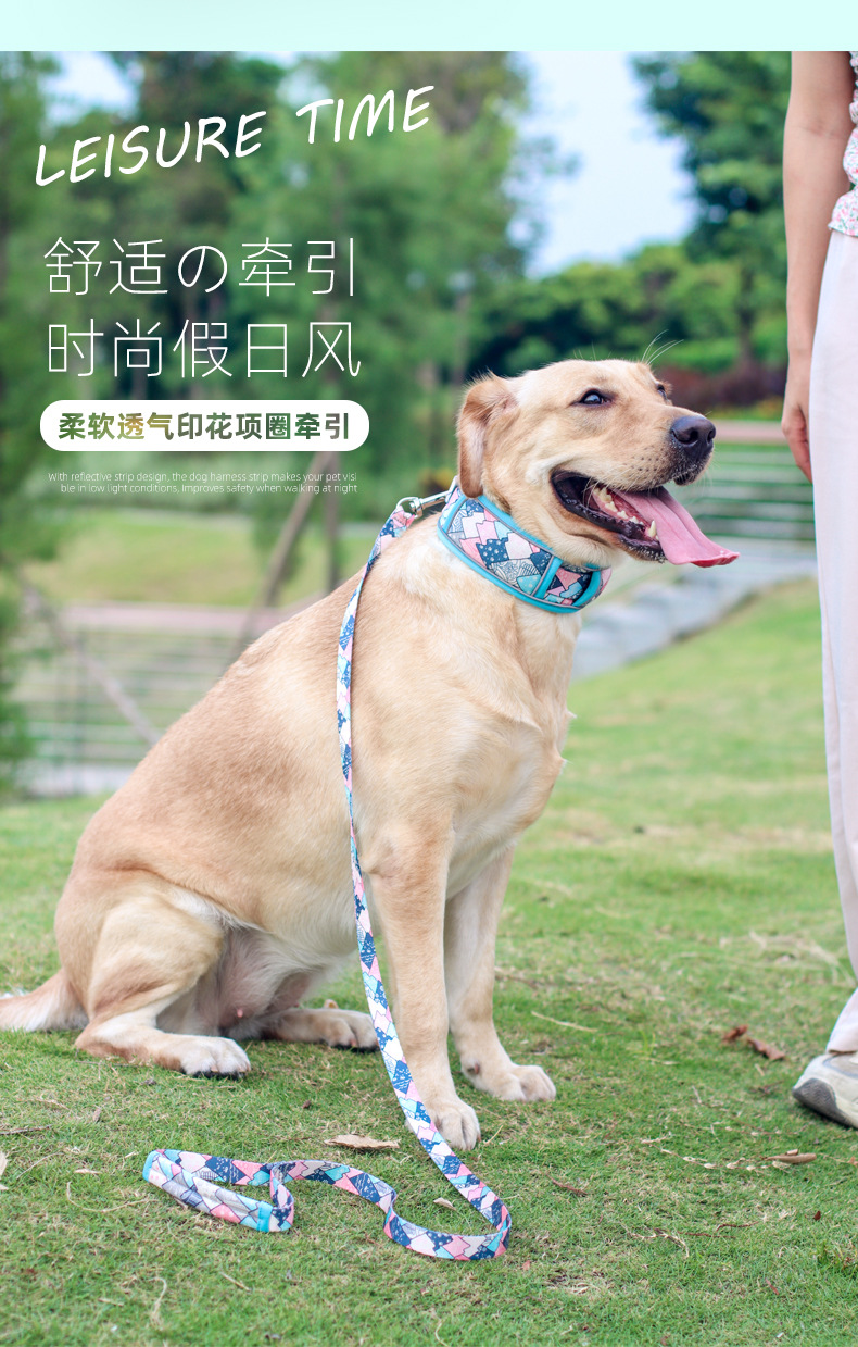 印花包边项圈_04.jpg