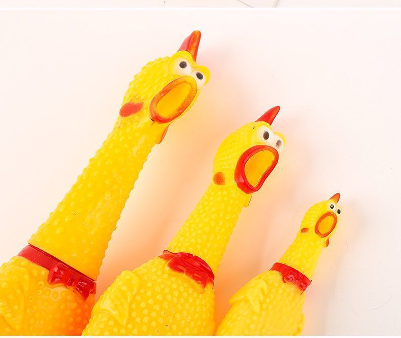 fec51a30-a9c0-483d-842a-9a258d967857.jpe