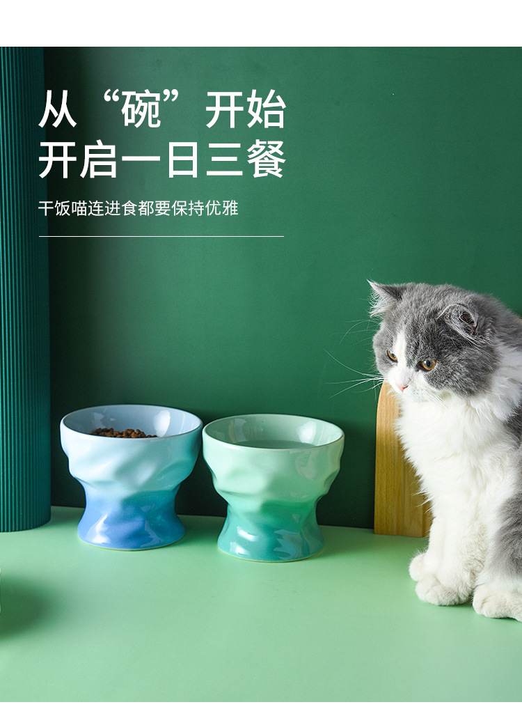 猫碗33_12.jpg