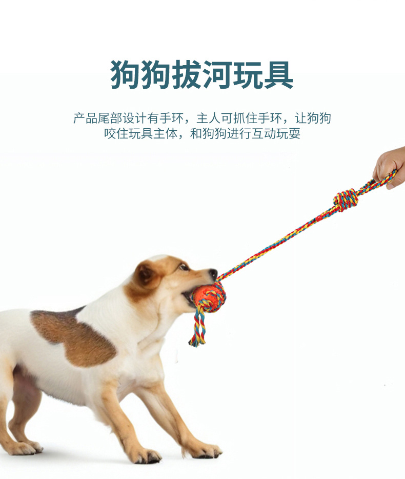 详情_05.jpg