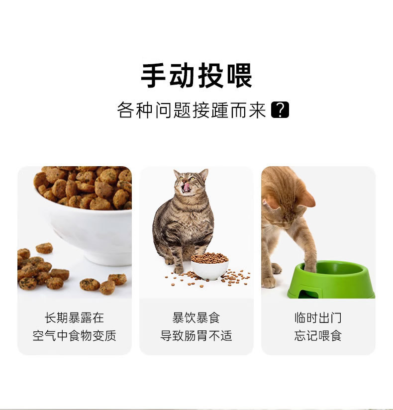 d8d80461-da46-40a4-a8de-04849278eda2.jpe