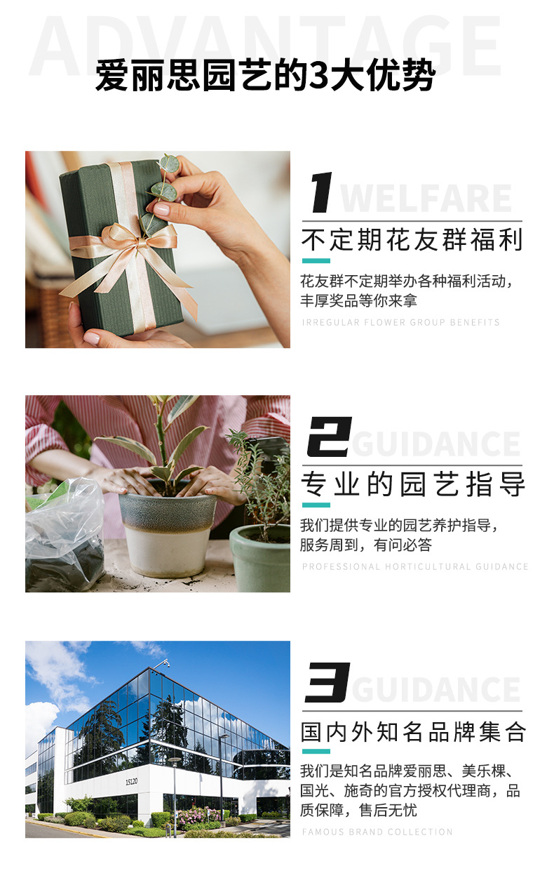fl中钵_14.jpg
